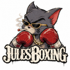 ART OF BOXING  - Home